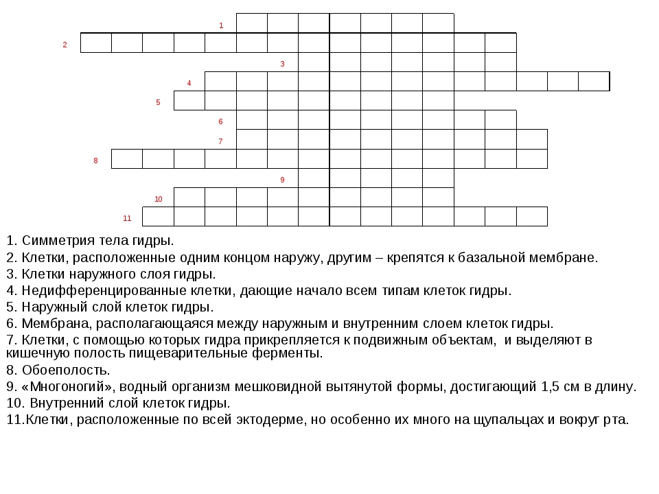 Пользователь не найден на кракене